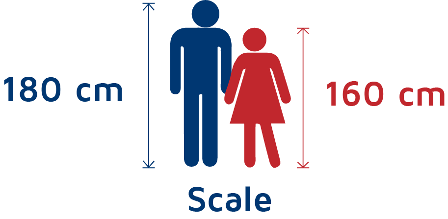 Mattress Size Guide